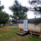 БАНЯ "БОЧКА-КВАДРО", База отдыха Алтай Rest