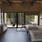 De Luxe (Номер Делюкс с 1 двуспальной кроватью или 2 односпальными кроватями), Загородный отель Курорт Большое Борково