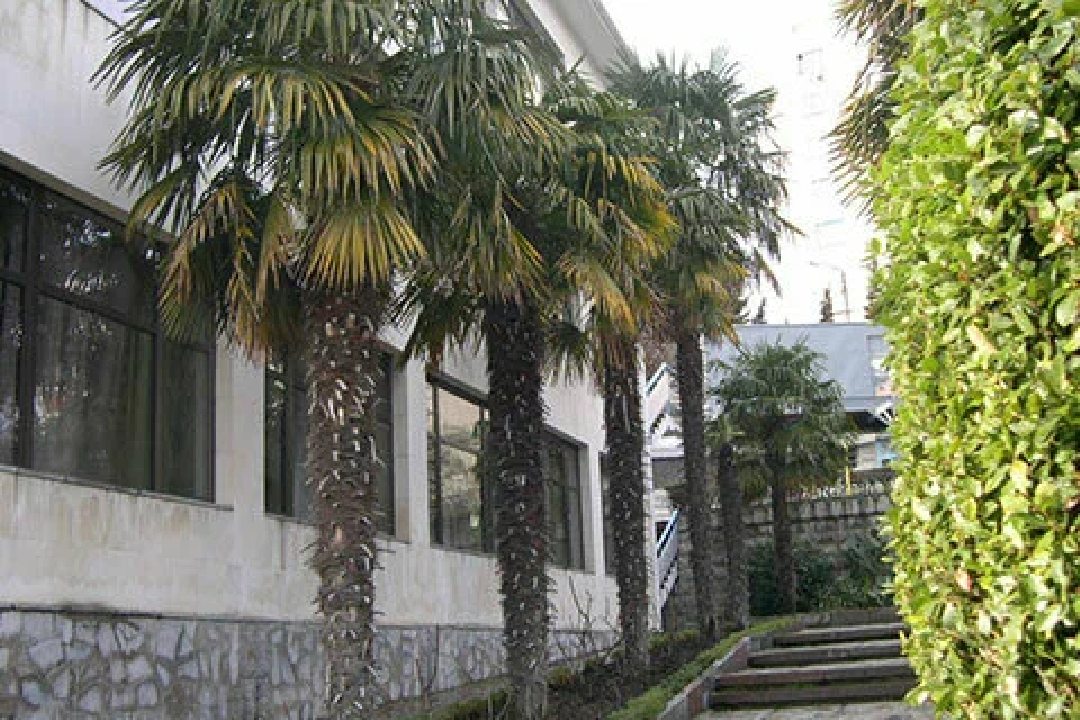 Пансионат Отдых Welness Resort & Spa, Кореиз