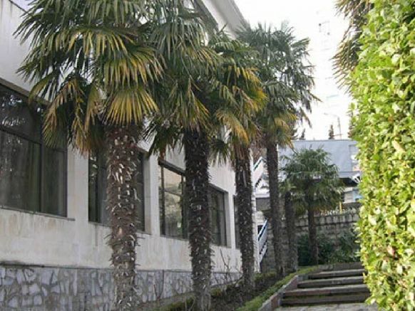 Пансионат Отдых Welness Resort & Spa