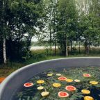 Травяной чан на дровах, Парк-Отель Сойма Парк