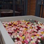 Купель на дровах, База отдыха Заречье