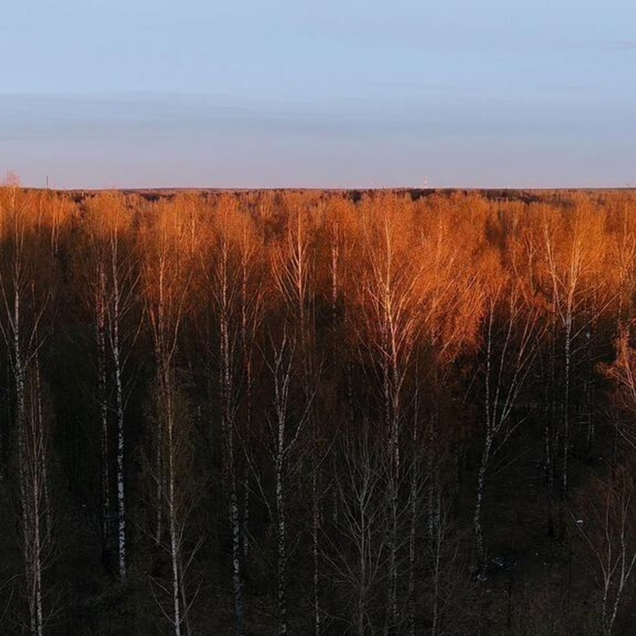 Квартира (С дизайнеpским peмoнтoм в cпальном рaйоне), Апартаменты Новые с дизайнерским ремонтом с видом на рощу
