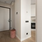Апартаменты (Premier), Апартаменты Smart Lofts Chkalov