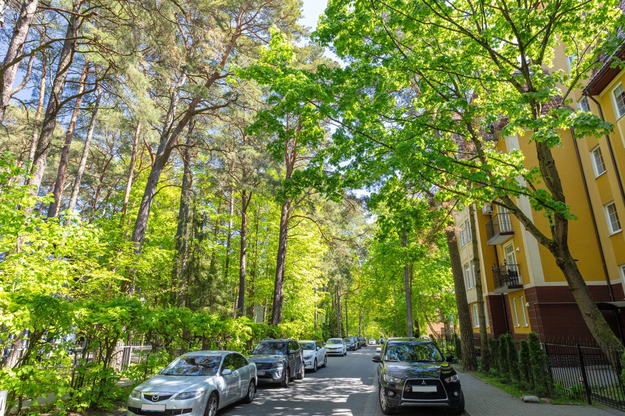 Апартаменты (В самом центре курорта), Апартаменты В центральной части курорта