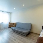Квартира (Inndays Apartments  на Знамя Октября 17), Апартаменты Inndays Apartments на Знамя Октября 17
