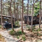Беседки