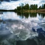 Коттедж (Усадьба Починки), Коттедж Усадьба Починки