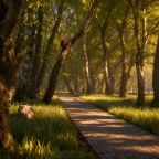 Для прогулок и активного отдыха