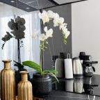 Возможность самостоятельного приготовления пищи, Апартаменты ApartMari рядом в Рыбной деревней