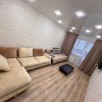 Апартаменты (ТРЕХКОМНАТНЫЕ В ЦЕНТРЕ), Апартаменты Вояж на Республике