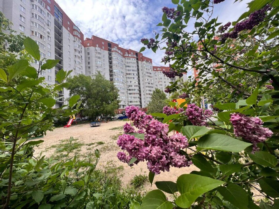 Апартаменты (Апартаменты в центре на 6 этаже), Апартаменты Вояж на ВЛКСМ