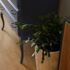 Двухместный (Улучшенный №304), Апарт-отель РазМалевиch