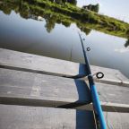 Вокруг дома