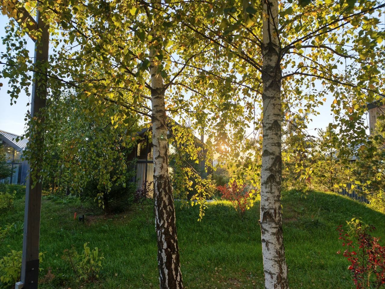 Вокруг дома