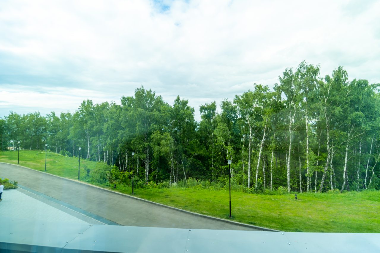 Студио (Forest №535), Апартаменты Nort на Родионова