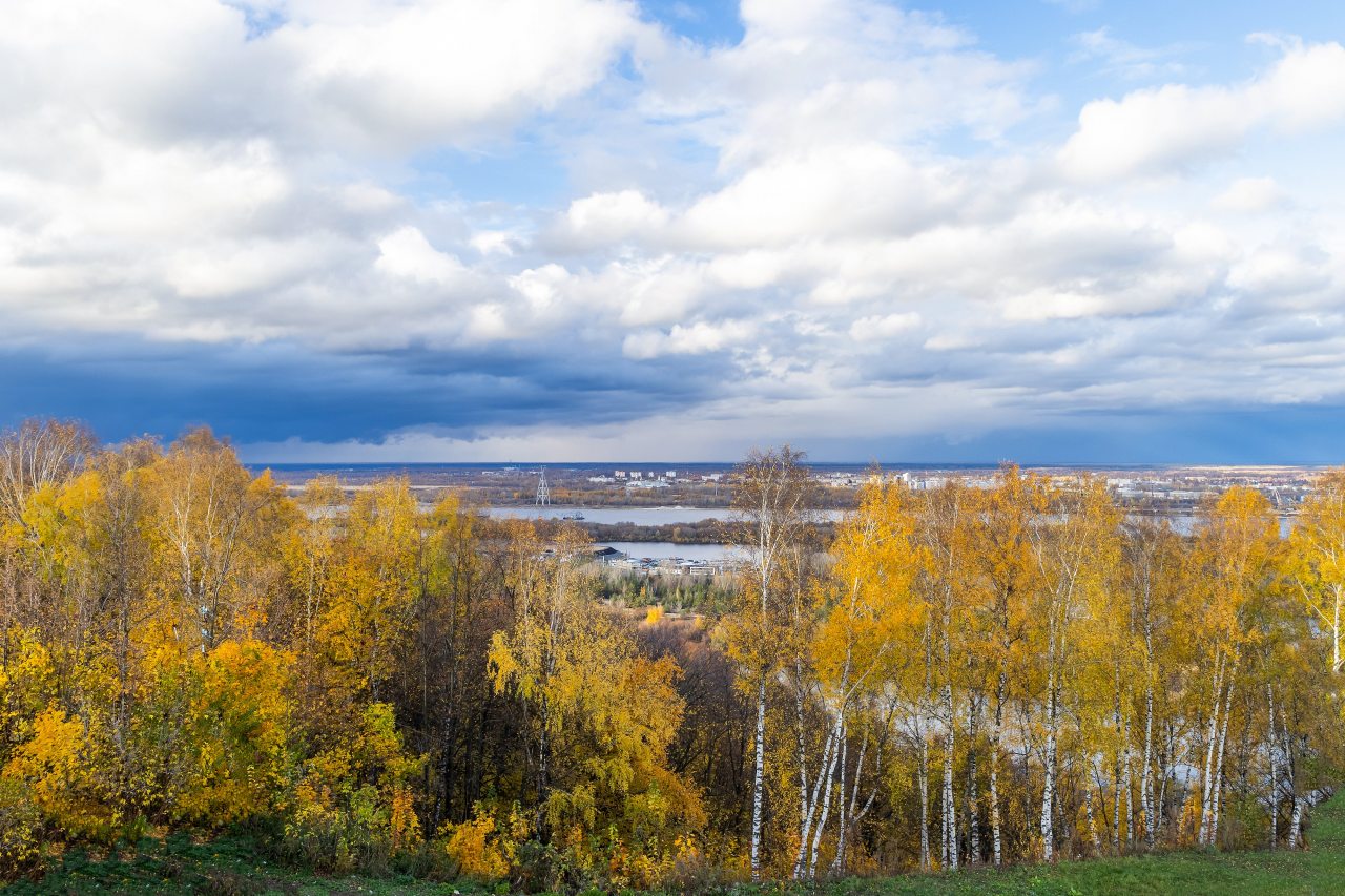 Студио (Birds №506 с видом на город), Апартаменты Nort на Родионова