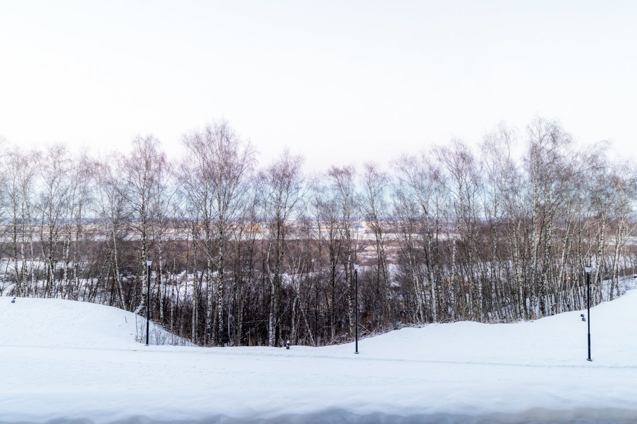 Апартаменты (Ruma с видом на Волгу), Апартаменты Nort на Родионова