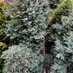 Трехместный (Апартамент трёхместный с маленьким балконом №77), Апартаментный Комплекс Море