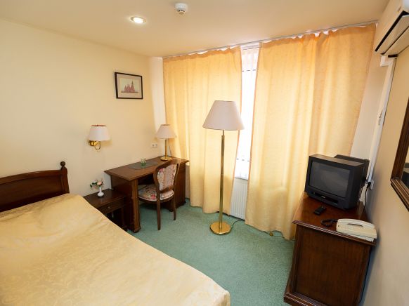 Фотография номера гостиницы Лебедь