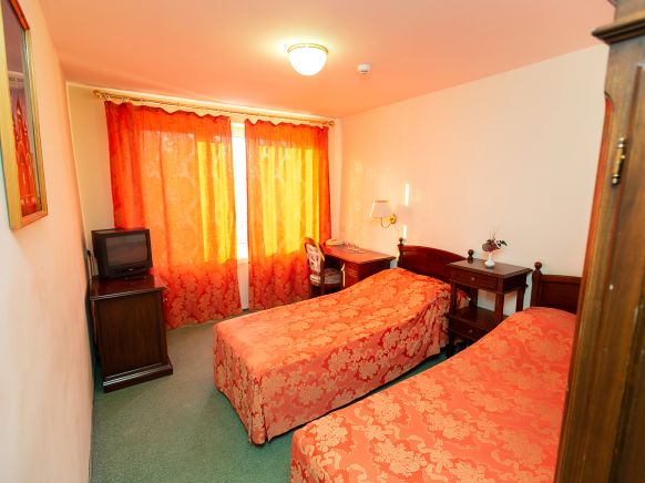 Фотография номера гостиницы Лебедь