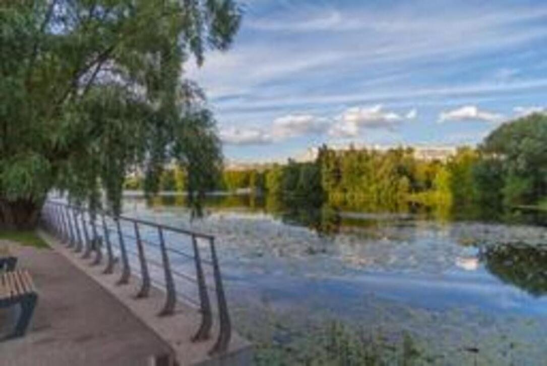 территория