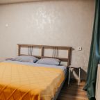 Двухместный (Двухкомнатная квартира на Первомайской 3, 52 м²), Апартаменты Аликорн24 на Первомайской