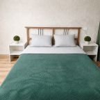 Двухместный (Двухкомнатная квартира на Первомайской 3, 52 м²), Апартаменты Аликорн24 на Первомайской