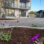Апартаменты (Апартаменты четырёхместные), Гостевой дом Olivia Resort