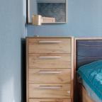 Семейный (Семейная трехкомнатная квартира у зоопарка), Апартаменты Уютные трехкомнатные у зоопарка