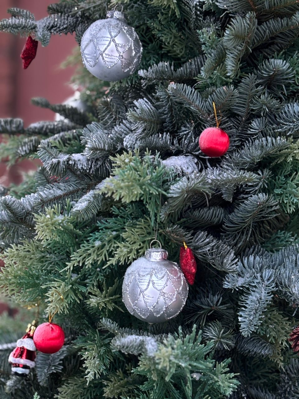 Двухместный (Двухместный 