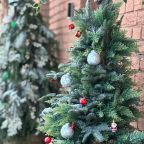 Двухместный (Двухместный "комфорт"), Гостиница Кристал