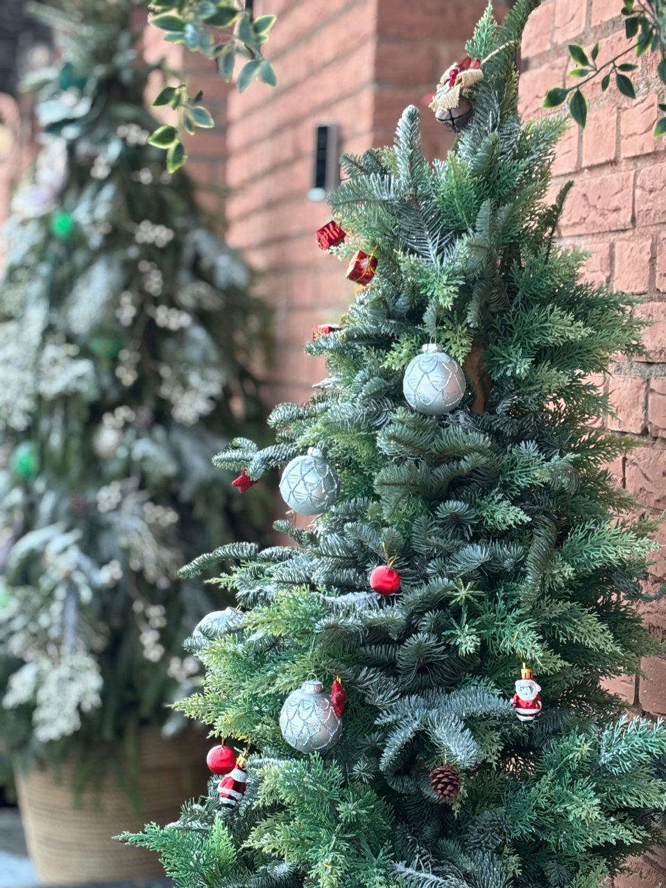 Одноместный (Одноместный бизнес лайт), Гостиница Кристал