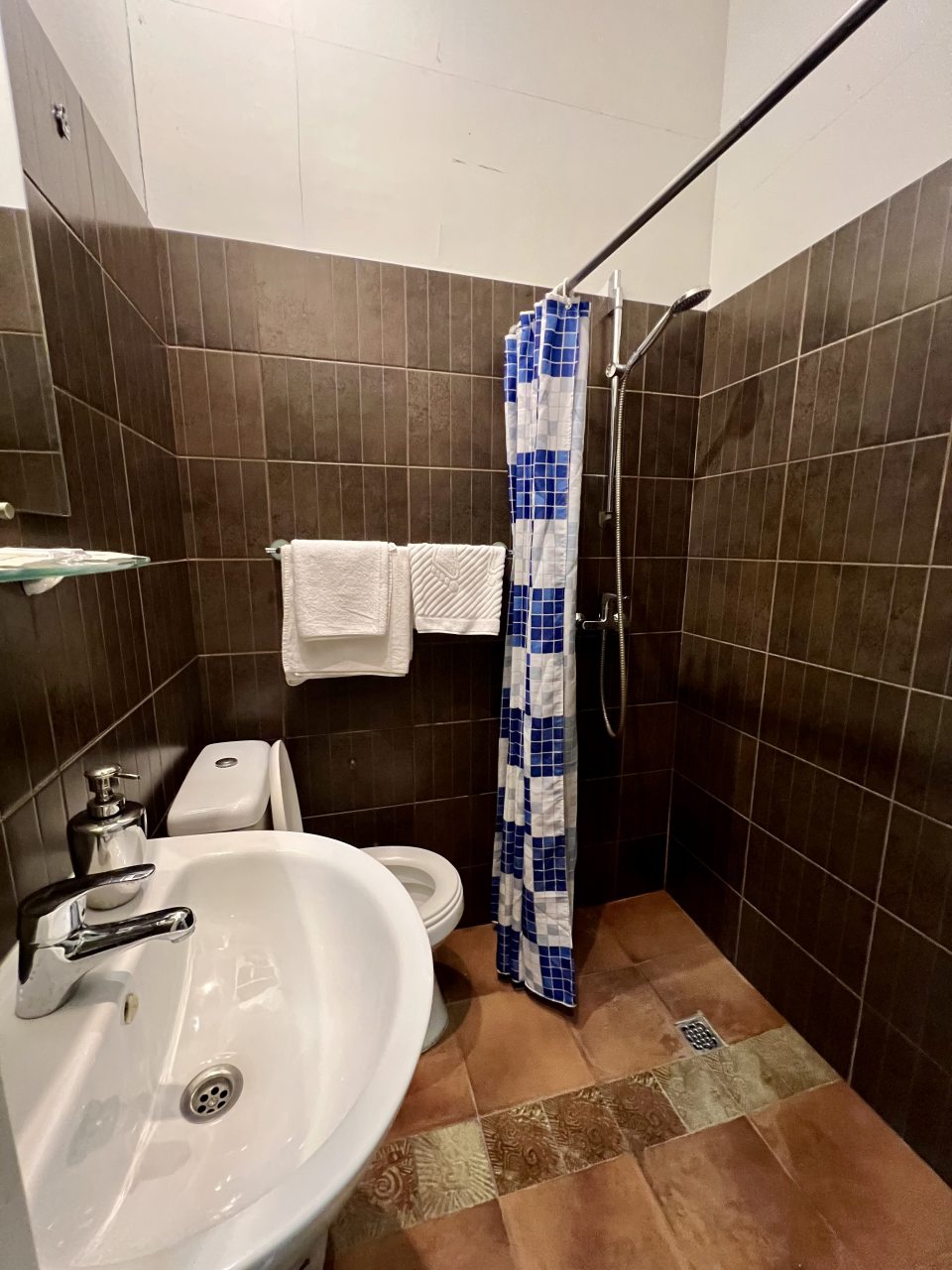 Отдельный санузел с душем