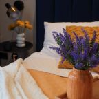 Трёхместный и более (Wow Comfort Family), Апартаменты APARTAMENTS AVENIR COMFORT