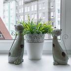 Шестиместный (Malkova Аpartments на Артиллерийской), Апартаменты Malkova Apartments на Артиллерийской