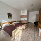 Апартаменты, Апартаменты Лофт 34 кв.м. в центре на В.О.