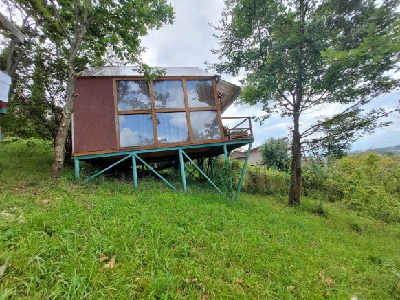 Фотография номера базы отдыха Оранжереи