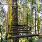 Детский веревочный парк, Пансионат Сокол