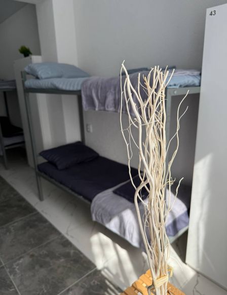 Фотография номера хостела Легенда