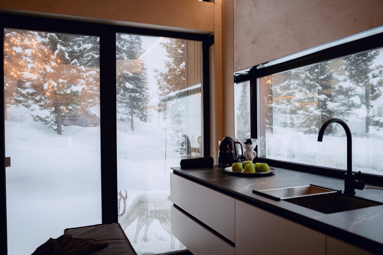 Дом (Леонов), Гостевой дом Космос