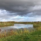 Тихое место, База отдыха Лисицкий Парк