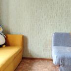 Кошки, собаки , Апартаменты Двухкомнатные в центре Челябинска