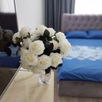 Допускается размещение домашних животных, Апартаменты Центр цветник радон кирова 47а