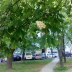 Автостоянка / Парковка, Апартаменты Всё у метро