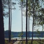Объект находится в лесу, Парк-Отель Вудлэнд Кэмп