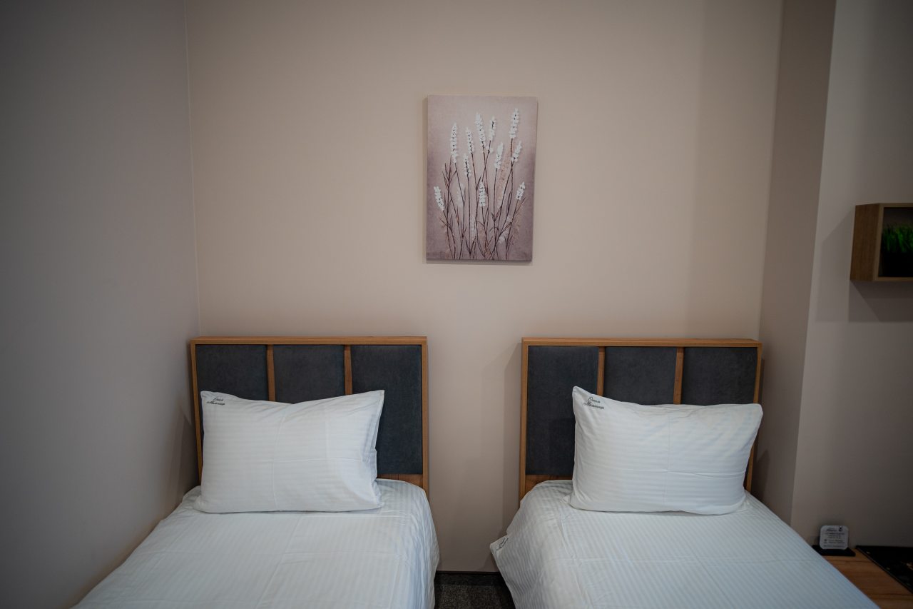 Двухместный (Эконом), Отель Мельница