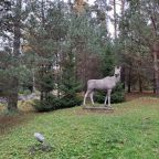 Объект находится в лесу, Гостиница Sport hotel