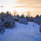 Лыжные трассы