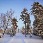 Лыжные трассы